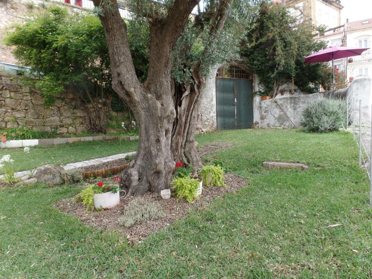 Villa Ponto De Vista - Coímbra Exterior foto